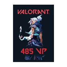 Valorant Point Valorant 485 VP Paketi